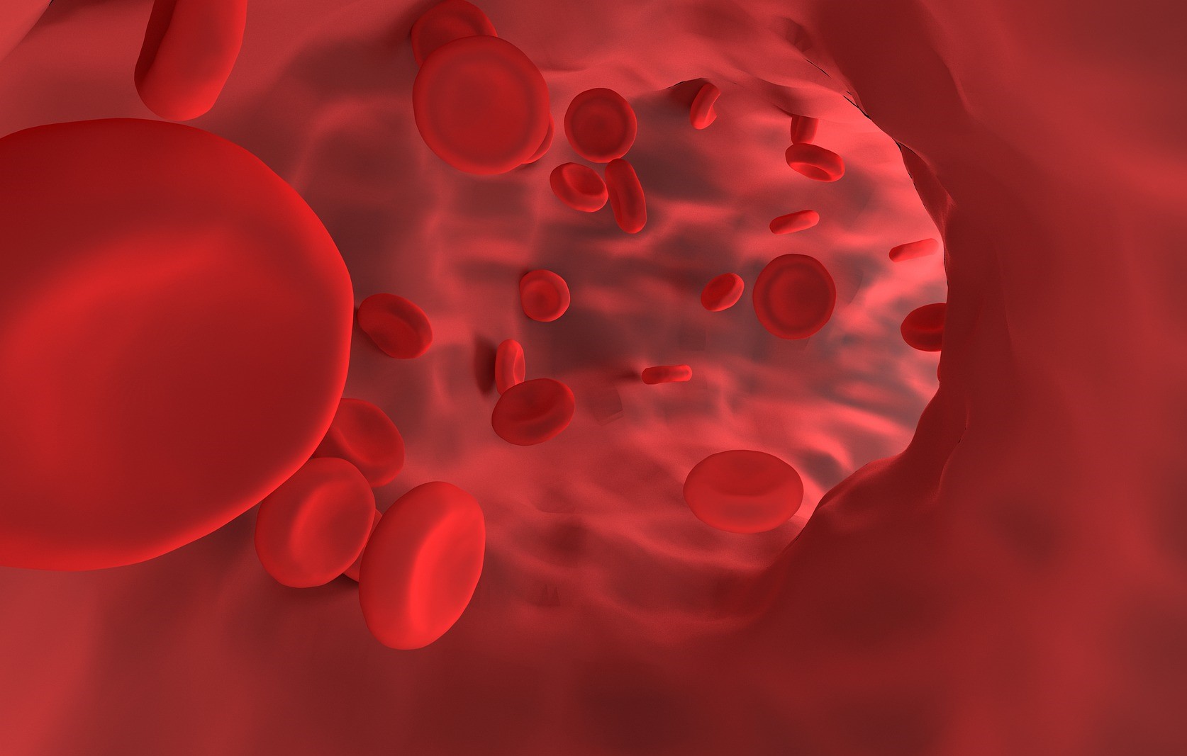 ESAMI GENETICA CARDIOVASCOLARE